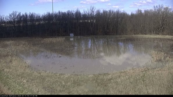 Cell 4_24-03-15_15-17-01-12