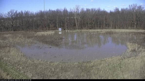 Cell 4_24-03-15_16-24-00-13