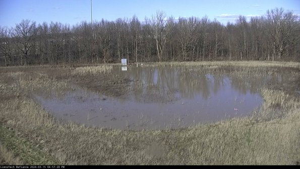 Cell 4_24-03-15_16-57-29-15