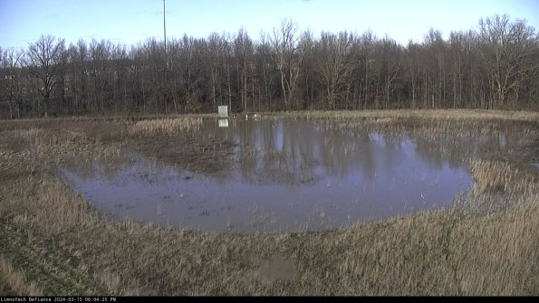 Cell 4_24-03-15_18-04-26-15