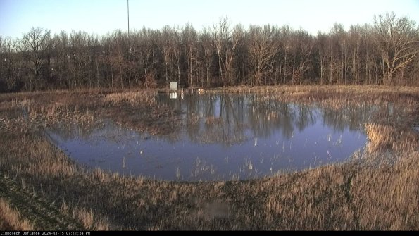 Cell 4_24-03-15_19-11-25-12