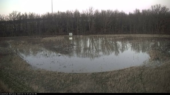 Cell 4_24-03-15_19-44-54-14