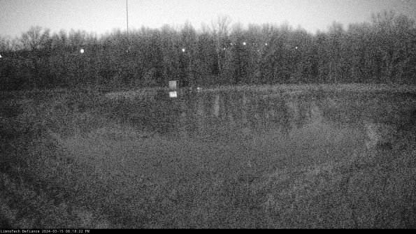 Cell 4_24-03-15_20-18-23-16