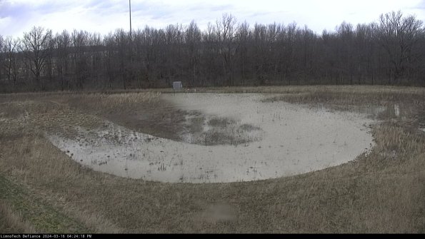 Cell 4_24-03-16_16-24-19-14