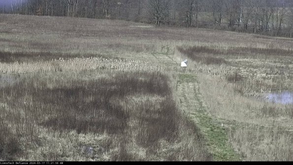 Cell 1 to 2_24-03-17_11-21-57-15