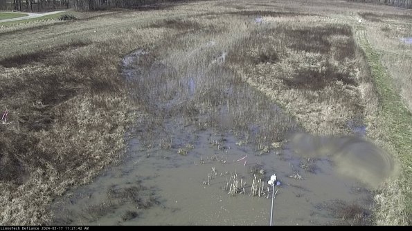 Cell 1_24-03-17_11-21-43-14