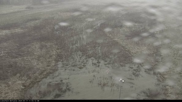 Cell 1_24-03-17_11-55-13-15