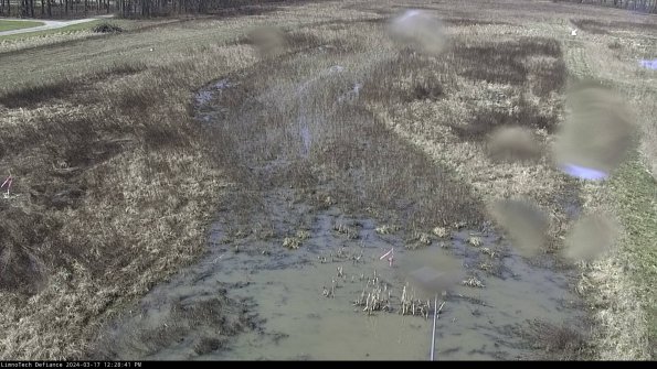 Cell 1_24-03-17_12-28-42-13