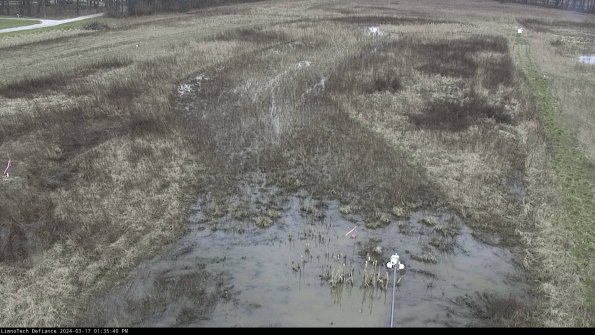 Cell 1_24-03-17_13-35-41-13