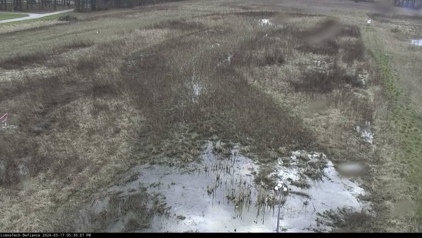 Cell 1_24-03-17_17-30-08-14