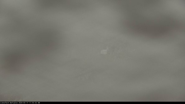 Cell 2 to 3_24-03-17_11-55-53-26