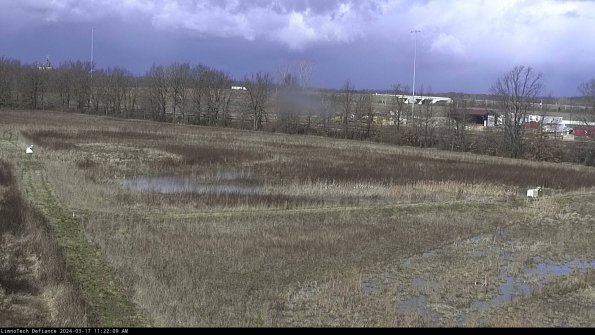 Cell 2_24-03-17_11-22-10-23