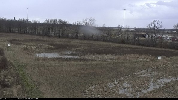 Cell 2_24-03-17_13-36-08-19