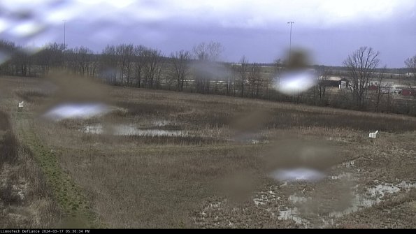 Cell 2_24-03-17_17-30-35-17