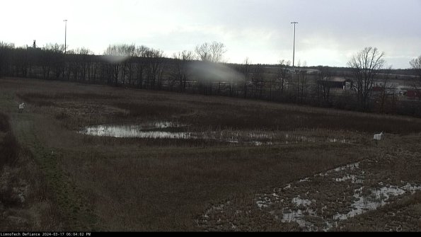 Cell 2_24-03-17_18-04-03-15