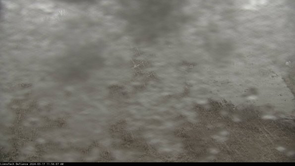 Cell 3_24-03-17_11-56-08-14