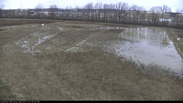 Cell 3_24-03-17_13-36-36-16