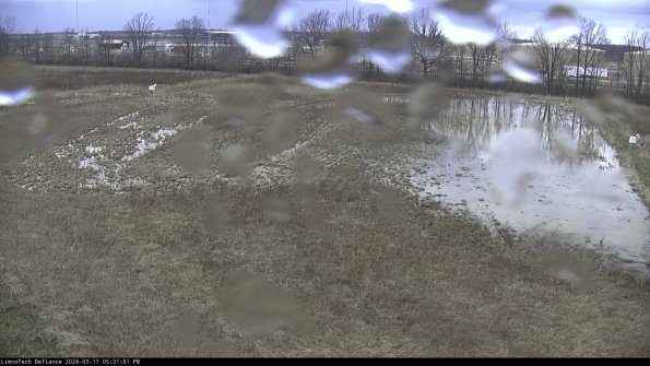 Cell 3_24-03-17_17-31-02-40