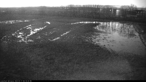 Cell 3_24-03-17_20-18-30-13