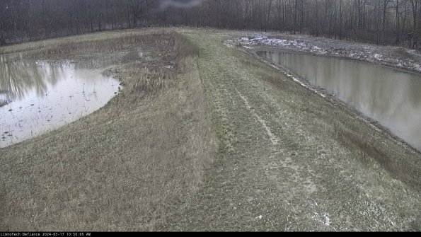 Cell 4 to Basin_24-03-17_10-50-06-17