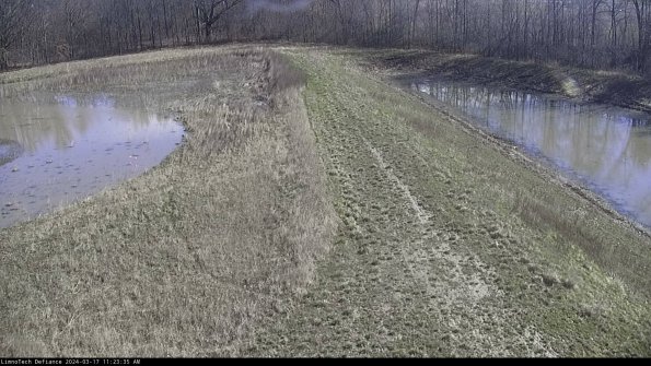 Cell 4 to Basin_24-03-17_11-23-36-18