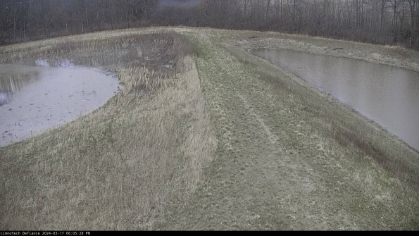 Cell 4 to Basin_24-03-17_18-05-29-17