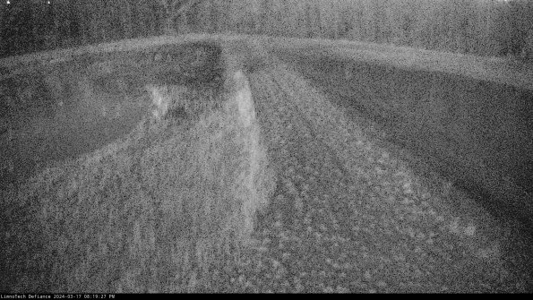 Cell 4 to Basin_24-03-17_20-19-28-16