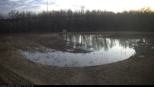 Cell 4_24-03-17_07-28-42-12