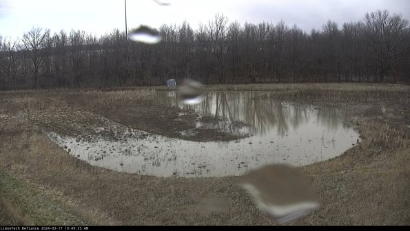 Cell 4_24-03-17_10-49-36-17