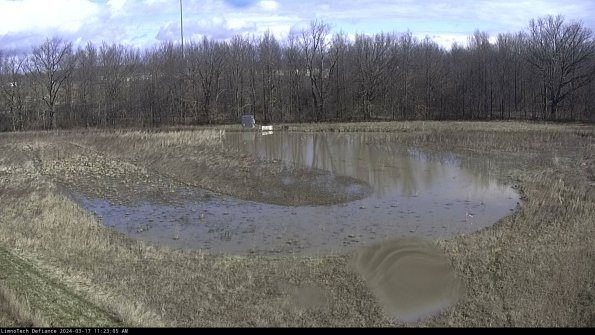 Cell 4_24-03-17_11-23-06-15