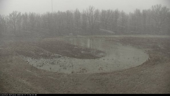 Cell 4_24-03-17_11-56-36-14