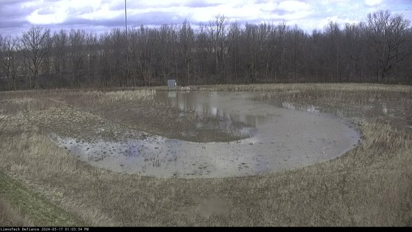 Cell 4_24-03-17_13-03-35-13