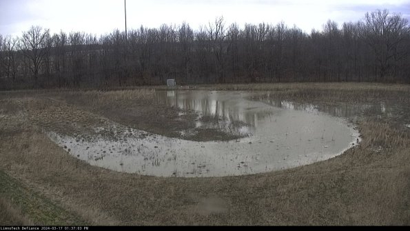 Cell 4_24-03-17_13-37-04-12