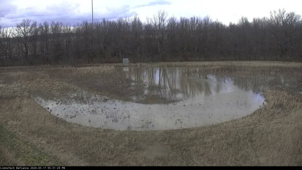 Cell 4_24-03-17_17-31-30-16