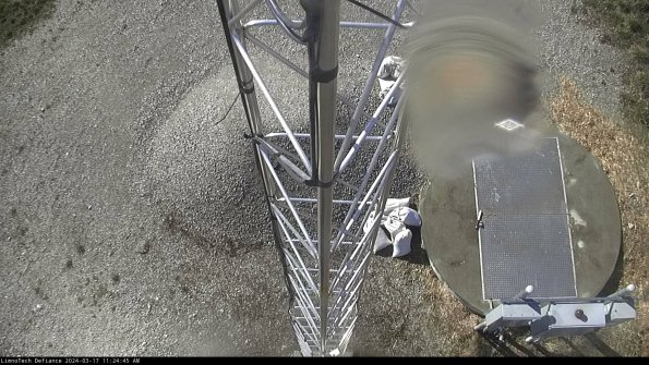 Hatch_24-03-17_11-24-46-12