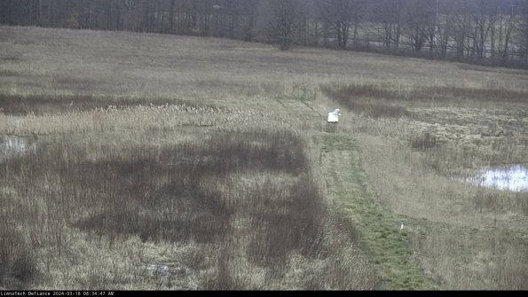 Cell 1 to 2_24-03-18_08-34-48-12