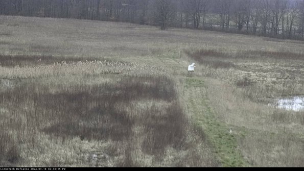 Cell 1 to 2_24-03-18_14-43-16-15