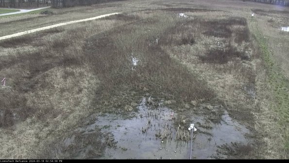 Cell 1_24-03-18_14-54-59-26