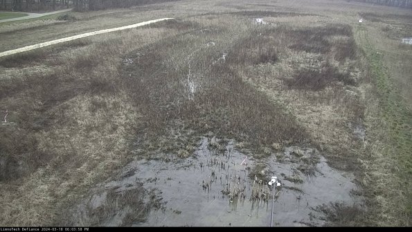 Cell 1_24-03-18_18-03-59-15