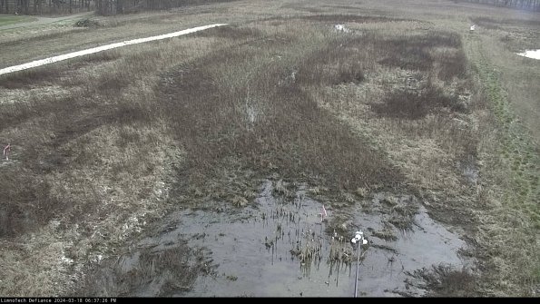 Cell 1_24-03-18_18-37-27-16