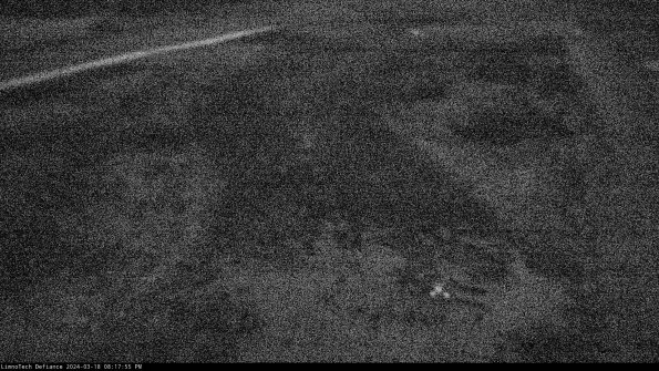 Cell 1_24-03-18_20-17-56-14