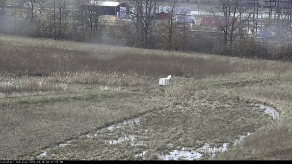 Cell 2 to 3_24-03-18_16-57-39-40