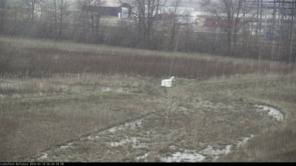 Cell 2 to 3_24-03-18_18-04-39-19