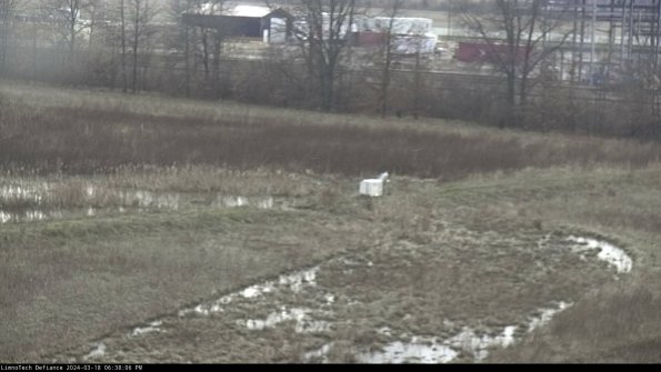 Cell 2 to 3_24-03-18_18-38-07-20