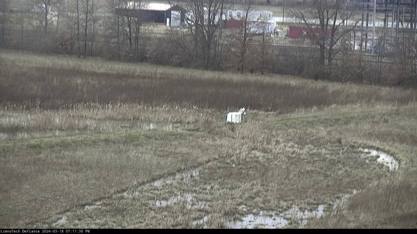 Cell 2 to 3_24-03-18_19-11-37-28