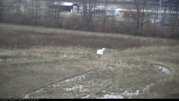 Cell 2 to 3_24-03-18_19-45-06-30