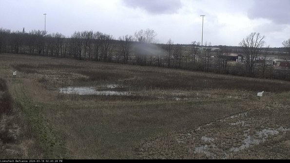 Cell 2_24-03-18_14-43-29-23