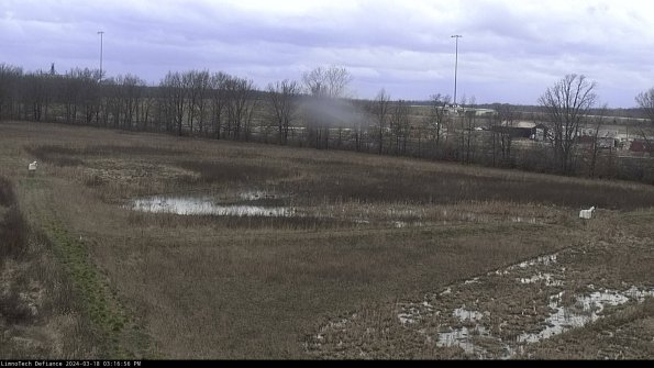 Cell 2_24-03-18_15-16-57-18