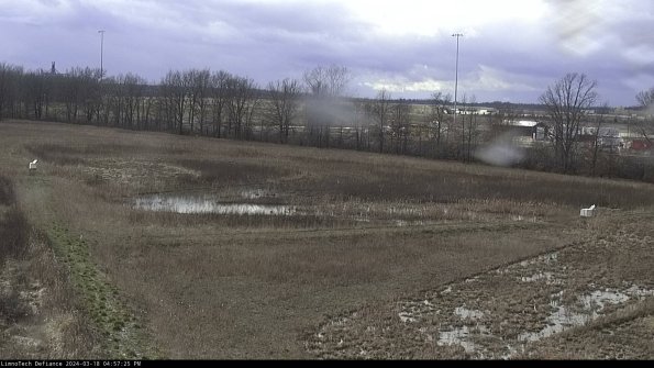 Cell 2_24-03-18_16-57-26-22