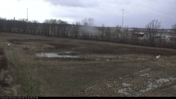 Cell 2_24-03-18_17-30-56-17